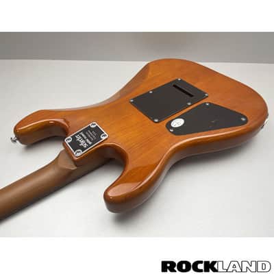 Schecter Traditional Van Nuys Gloss Natural Ash image 12