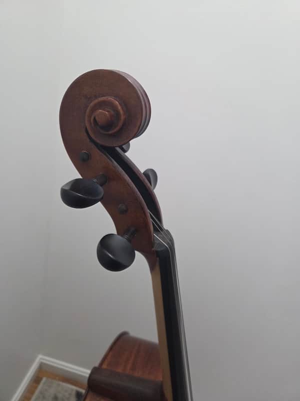 Samuel Shen 88 FULL-SIZE CELLO - OIL, EBONY FITTINGS, WITTNER TAILPIECE image 1