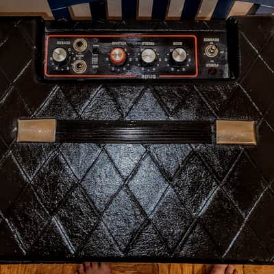Polytone Mini-Brute II FREE shipping image 3