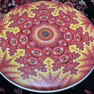 Evans Danny Carey / TOOL 22” Fear Inoculum "Tondo"  Ver. #1 Bass Drum Head image 2