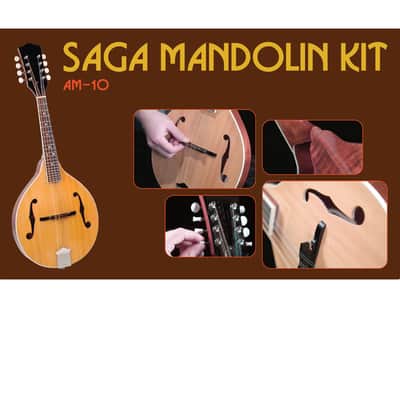 Saga AM-10 A-Model Mandolin Kit image 2
