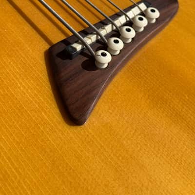Tobias Toby Pro 5ce 5 String Acoustic Bass image 11