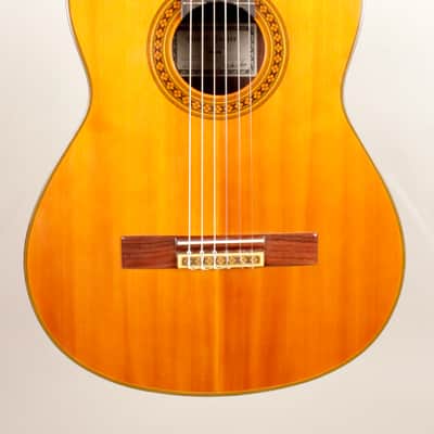 Yamaha GD-10 Grand Concert Classical Guitar, Solid Spruce, IRW image 3