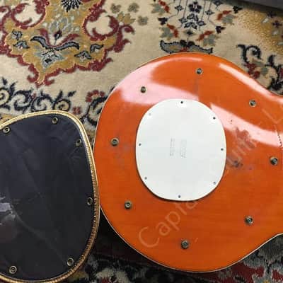 1966 Gretsch - 6120 Chet Atkins Nashville - ID 5560 image 21