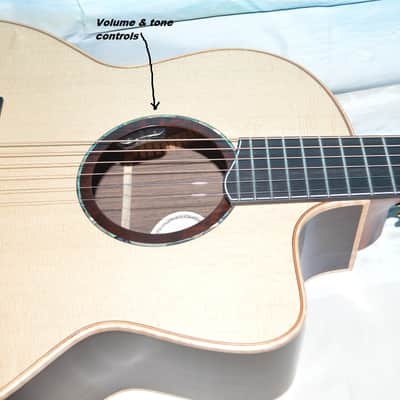 Hsienmo F Model Rosewood, Baggs HiFi 2026 - Satin Sheen image 5