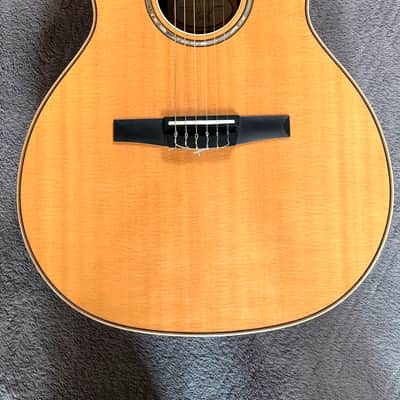 Taylor 814 ce-N 2019 - Spruce Top Rosewood sides. image 2