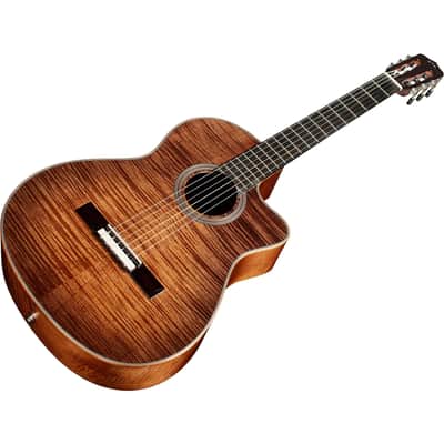 Cordoba Fusion 12 Classical Acoustic-Electric Guitar, Cinnamon Burst image 5