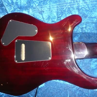 PRS Custom 24 Artist Package image 16