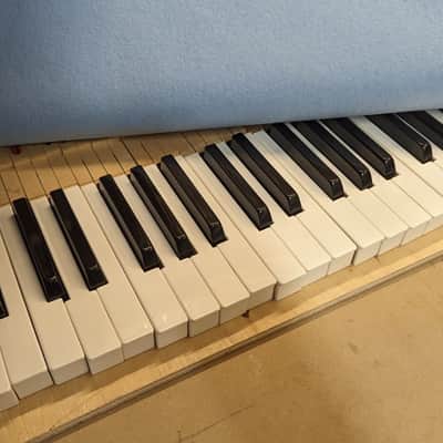 1980 Rhodes Mark II Stage 54-Key Electric Piano - 100% Restored Inside & Out image 17