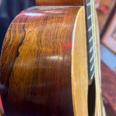 1895-1905 John Church Imperial Parlor Guitar, Adi Top, Brazilian Back & Sides image 11