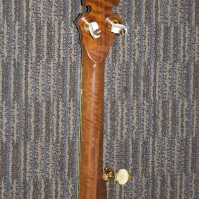 Stelling Staghorn Gold Plated Banjo No. 4510 (c. 1996) image 4
