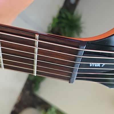 2000 Cort Viva Seven String Korea 7-String image 17