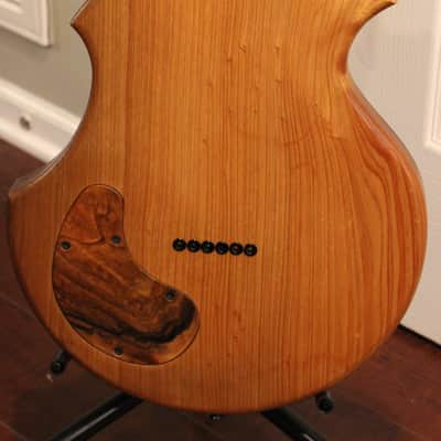 2010 Cardinal Instruments East with Lollar/Supro Lapsteel Pickup and Hard Case, Plays & Sounds GREAT image 6