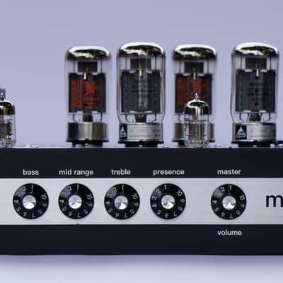 Winter Amps Sunn Model T Clone PCB version image 3