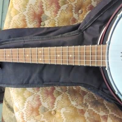 Hoe Down  5 String Banjo new  Rocky top Closed Back[ LAST CALL] image 3