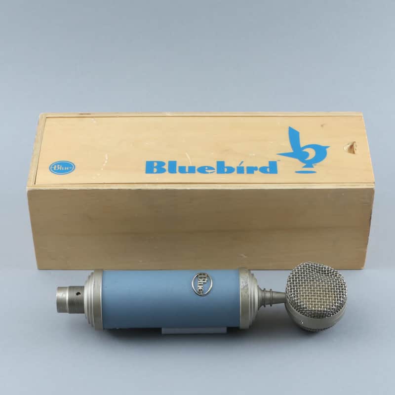 Blue Bluebird