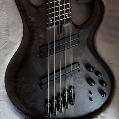 Ibanez BTB805MS-TGF Bass Workshop 2022 - Present - Transparent Gray Flat image 2