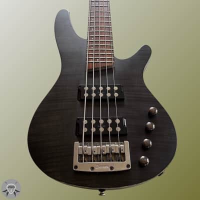 Ibanez SRX595 Transparent Gray Flat – Hard Shell Case – Excellent Condition image 6