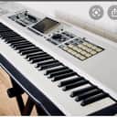 Roland ANATHEMA. FANTOM X8 2010 SILVER