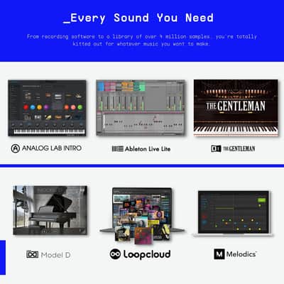 Arturia MiniLab 3, 25 Slim-Key USB-C Midi Controller with 5-Year Warranty, 8 Backlit LED Pads, 8 Knobs, 4 Faders, Midi Out, Built-in Arpeggiator, Chord mode and Software Bundle image 4