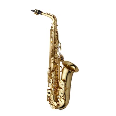 Yanagisawa AWO1 Professional Alto Saxophone - Gold Lacquer image 2