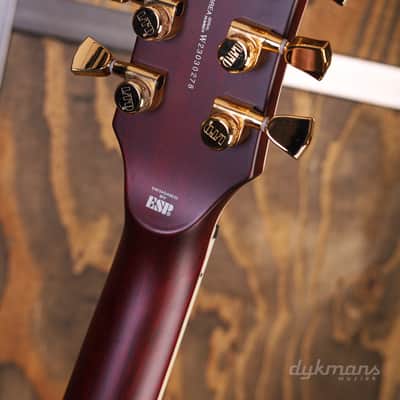 ESP LTD EC-1000T See Thru Cherry image 12