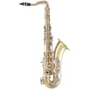 Selmer STS301 Student Tenor Saxophone