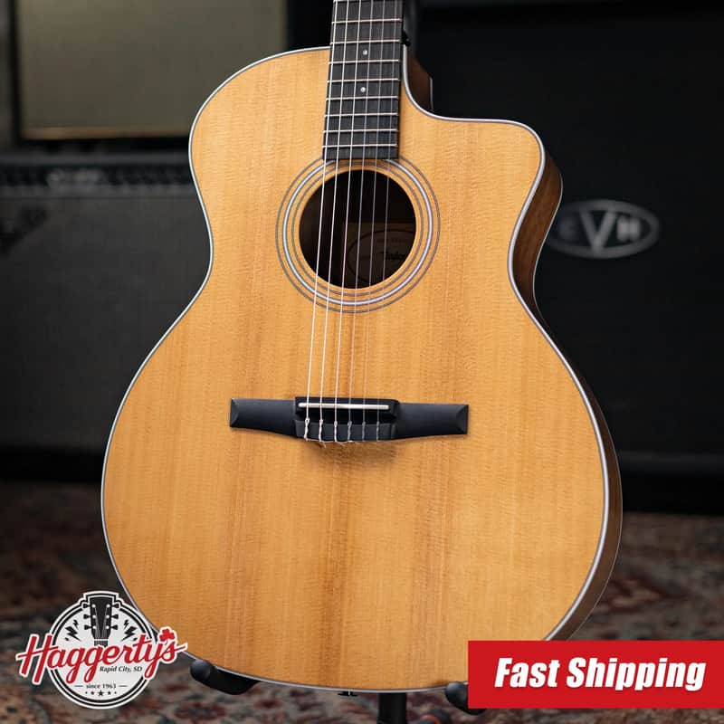 Taylor 214ce-N Nylon Grand Auditorium Acoustic/Electric Guitar with Gig Bag - Factory Demo image 1