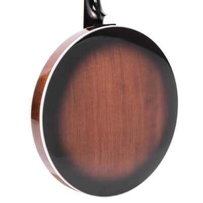 Mastertone™ IT-250F: Irish Tenor Banjo with Flange and Case image 10