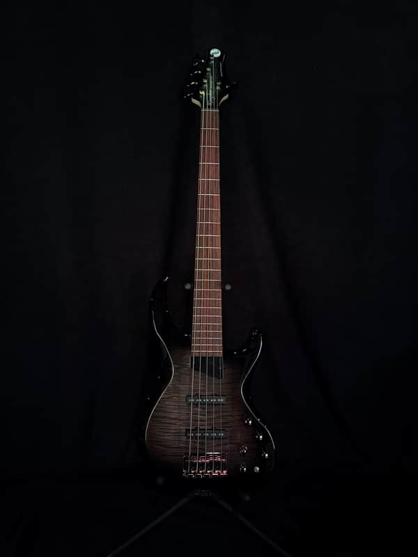 MTB Kingston Saratoga 5-String Bass - Trans Black Burst for $990