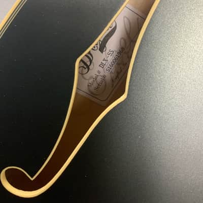 D'Angelico Deluxe SS Semi-Hollow body Susan Tedeschi owned guitar image 5