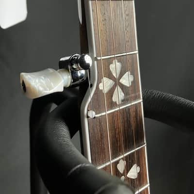Gold Tone BG-150F 5-String Bluegrass Banjo w/ Flange Tobacco Sunburst w/ Gig Bag image 9