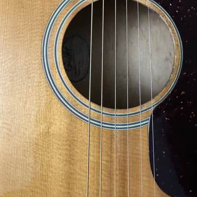 Guild G-37NT 1976 USA image 3