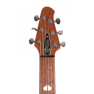Powers Electric A-Type Ebony image 8