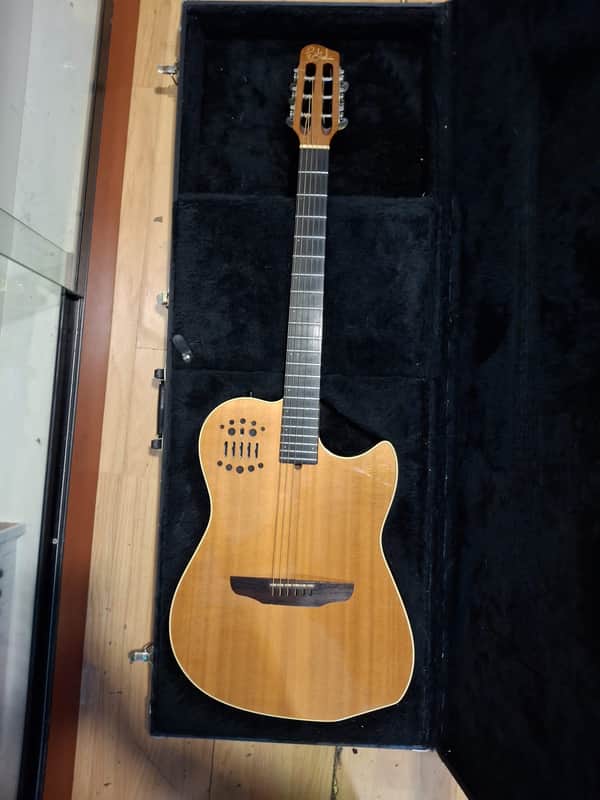 Godin Multiac Steel Duet image 1