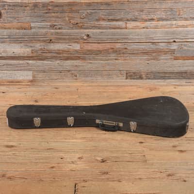 Hamer Vector Black and White Custom Finish 1980s image 8