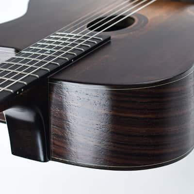 Eastman DM1 Classic Gypsy Jazz Guitar image 10