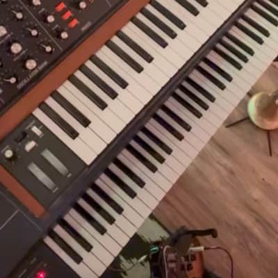 Behringer Poly D 4-Voice Polyphonic Synthesizer 2020 - Present - Black / Wood