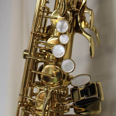 Selmer SAS511 Intermediate Alto Saxophone image 4