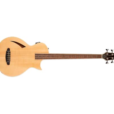 ESP LTD TL-4 Acoustic-Electric Bass Guitar - Natural image 4