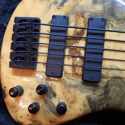 Roscoe SKB 3005 Fretless 5 String Bass Ash Body Buckeye Burl Top NTMB-918F image 4