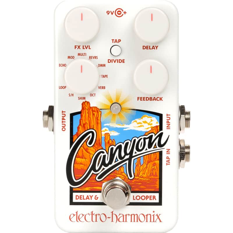 Electro Harmonix Canyon Delay & Looper Pedal image 1