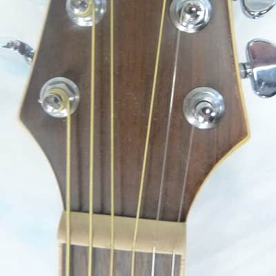 LAG Four Seasons Series Winter 400D Acoustic Guitar image 5