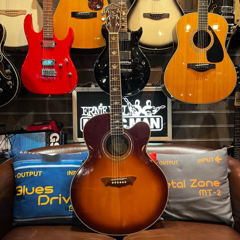 Washburn Cumberland J28SCE TS image 1