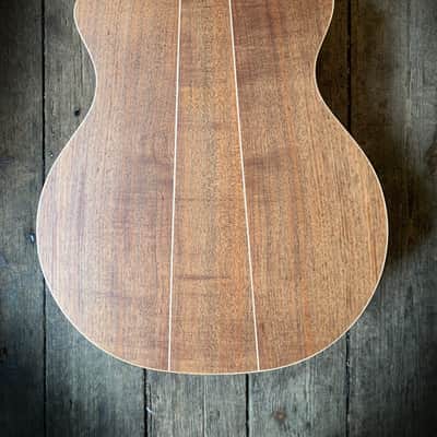 2021 Cole Clarke AN2EC-RDBL acoustic & hard shell case | Reverb Cyprus