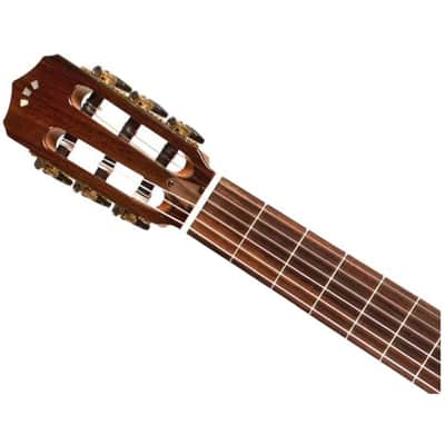 Cordoba Fusion Stage Cutaway Electric Nylon String Guitar - Edge Burst - B-Stock image 4