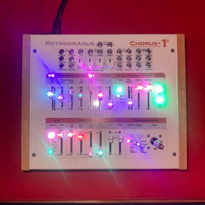 Rare Retrogradus Chorus 1a - Custom One of a Kind image 4