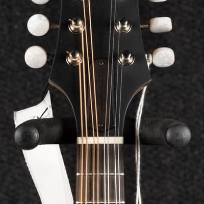 Eastman M104-NAT: PCH A Style Mandolin - Natural image 11