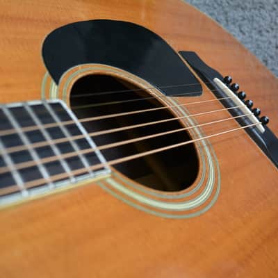 1964 Epiphone Excellente (Sonny James Prototype?) w/ OHSC image 8
