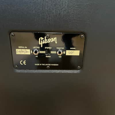 Gibson Super Gold Tone 2x10 2x12 stereo Cab Blue Back and gold image 5